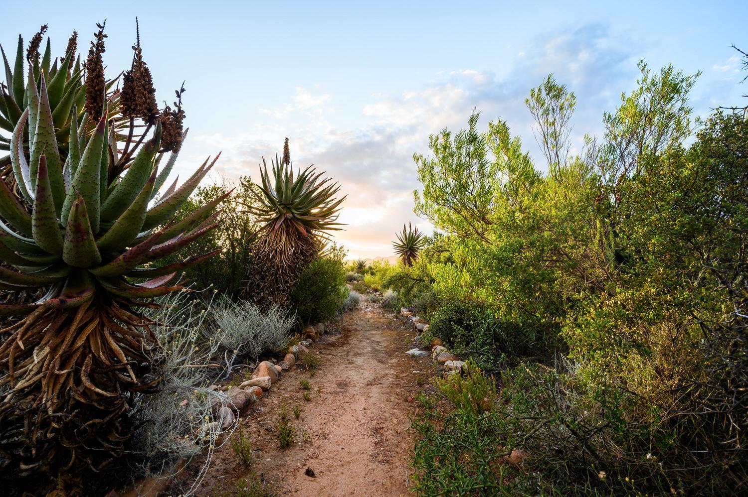 Le Petit Karoo Ranch Bed and Breakfast Oudtshoorn Εξωτερικό φωτογραφία