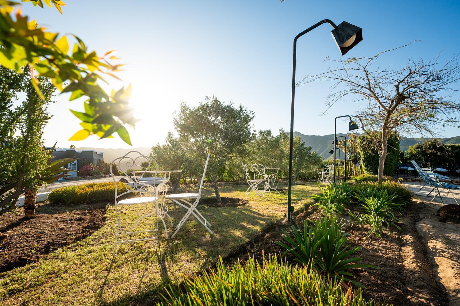 Le Petit Karoo Ranch Bed and Breakfast Oudtshoorn Εξωτερικό φωτογραφία