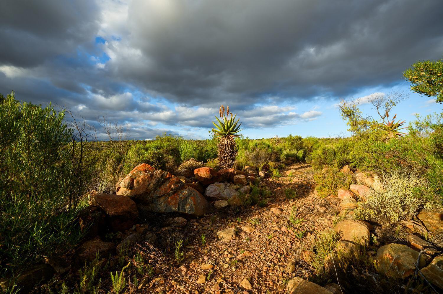 Le Petit Karoo Ranch Bed and Breakfast Oudtshoorn Εξωτερικό φωτογραφία