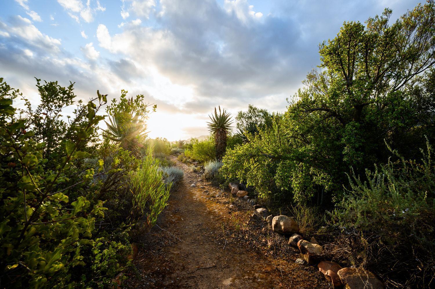 Le Petit Karoo Ranch Bed and Breakfast Oudtshoorn Εξωτερικό φωτογραφία