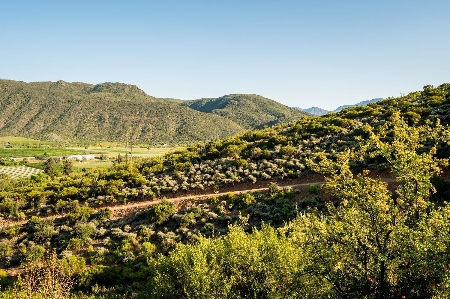 Le Petit Karoo Ranch Bed and Breakfast Oudtshoorn Εξωτερικό φωτογραφία