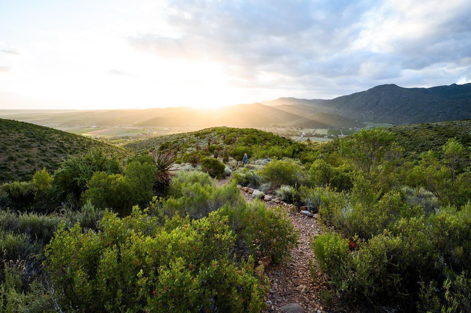Le Petit Karoo Ranch Bed and Breakfast Oudtshoorn Εξωτερικό φωτογραφία