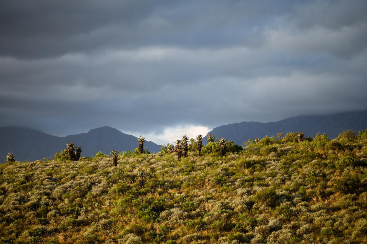 Le Petit Karoo Ranch Bed and Breakfast Oudtshoorn Εξωτερικό φωτογραφία