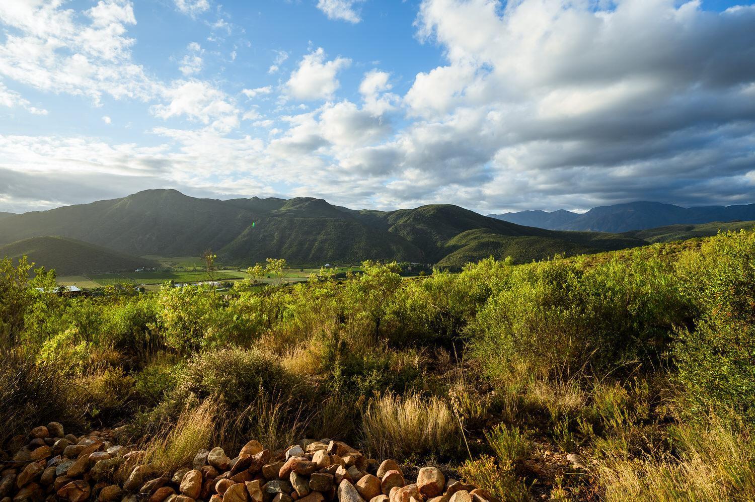 Le Petit Karoo Ranch Bed and Breakfast Oudtshoorn Εξωτερικό φωτογραφία
