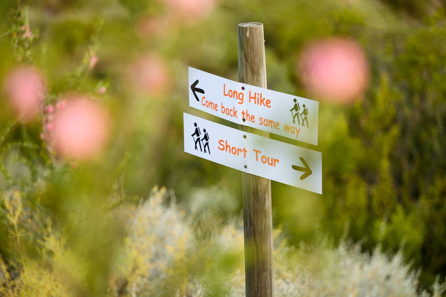 Le Petit Karoo Ranch Bed and Breakfast Oudtshoorn Εξωτερικό φωτογραφία